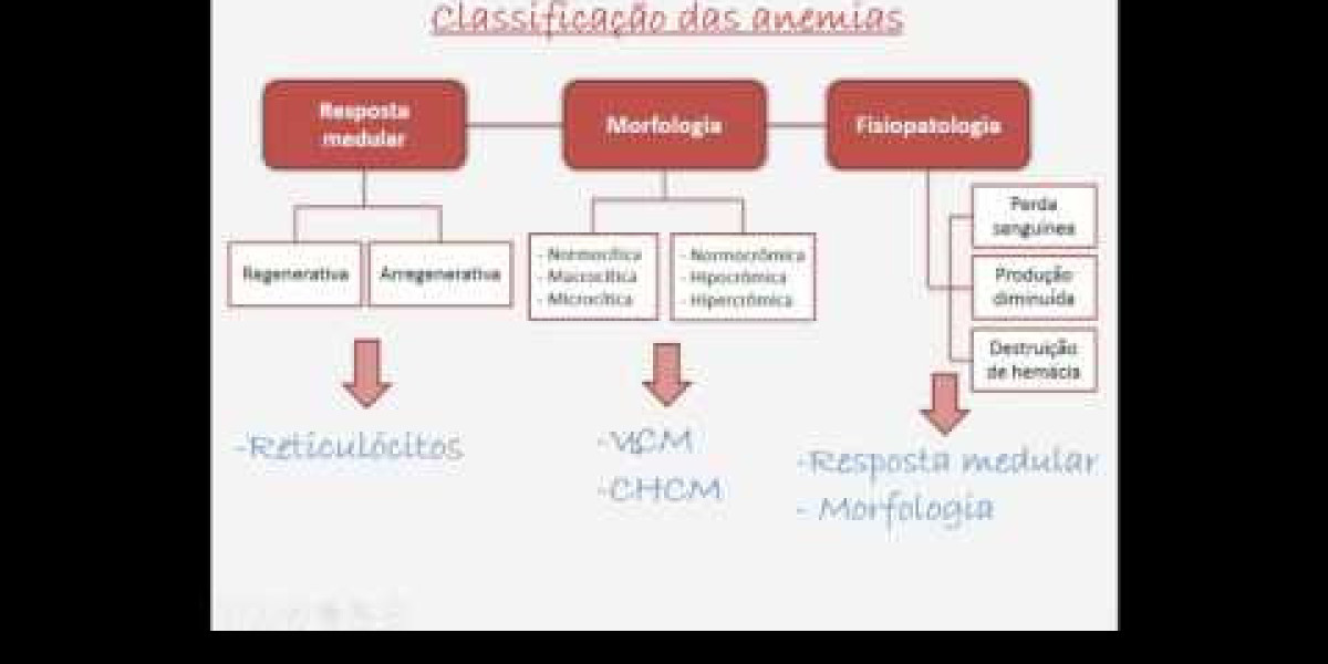 Equine Diagnostic Plans and Panels Cornell University College of Veterinary Medicine