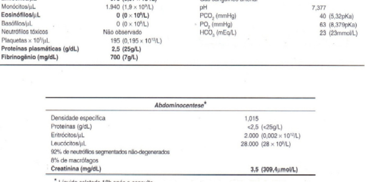 Natural Ways to Treat Liver Disease in Dogs and Cats