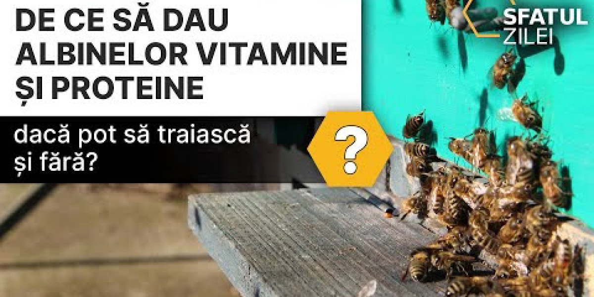 El exceso de biotina en el cuerpo humano: ¿un problema? Cirugía Capilar de Vanguardia